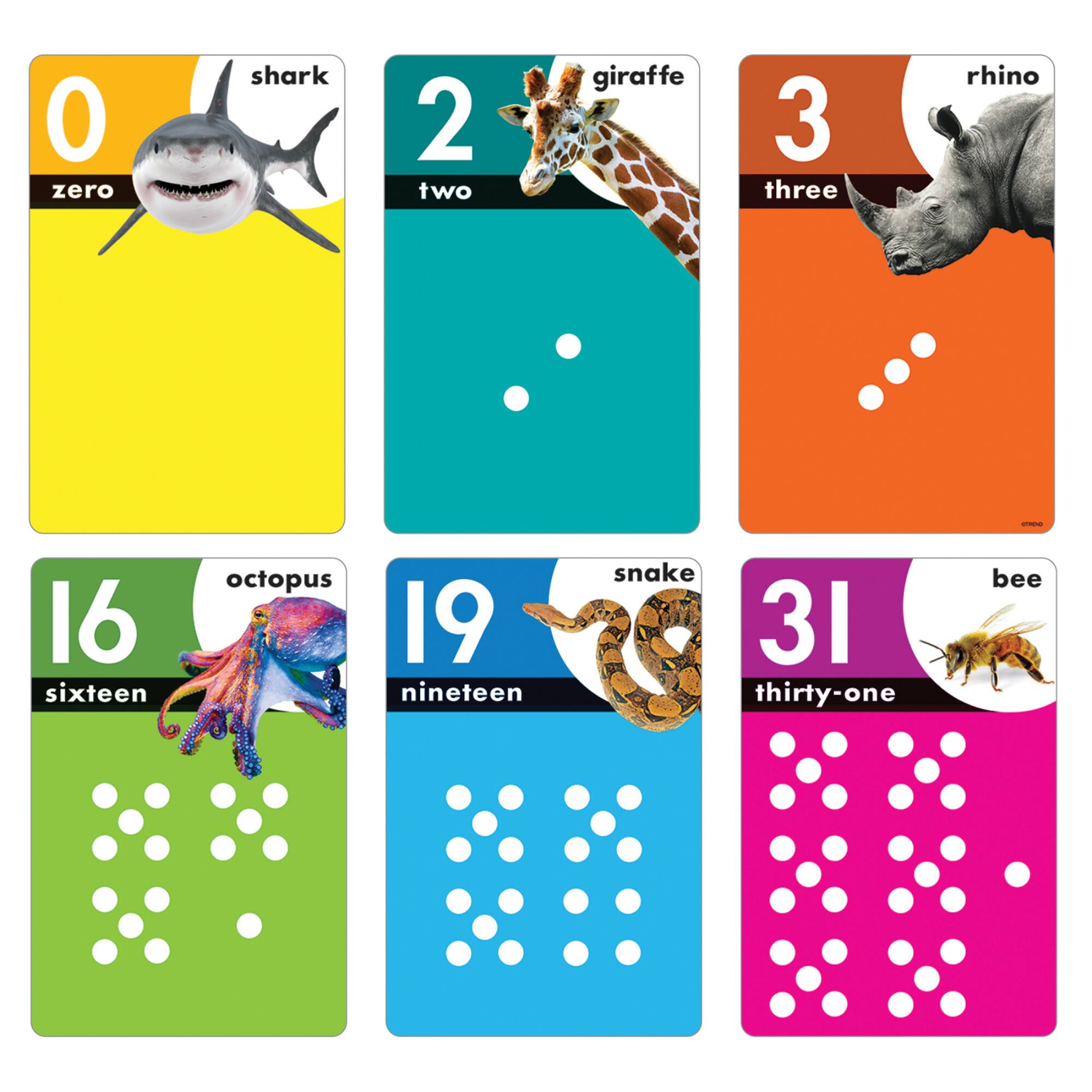 Trend Enterprises® Animals Count 0-31 Wipe Off Learning Set